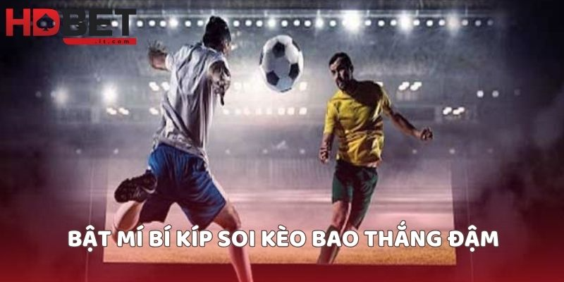 Bật mí bí kíp soi kèo bao thắng đậm
