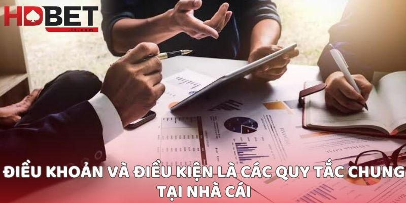 Điều khoản và điều kiện là các quy tắc chung tại nhà cái