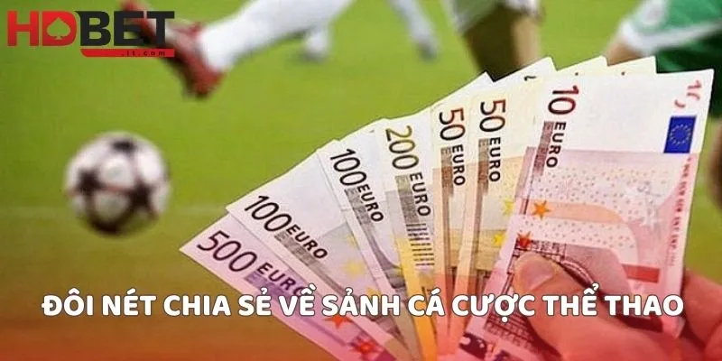 Đôi nét chia sẻ về sảnh cá cược thể thao