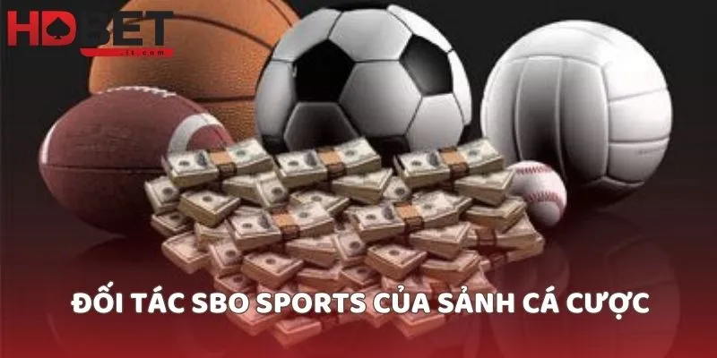 Đối tác SBO Sports của sảnh cá cược