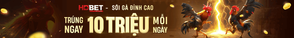 hdbet đá gà đỉnh cao