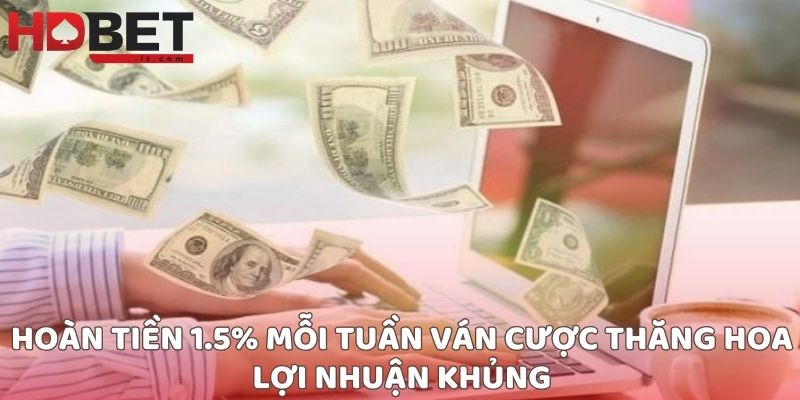 Hoàn tiền 1.5% mỗi tuần ván cược thăng hoa lợi nhuận khủng