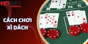 cách chơi xì dách