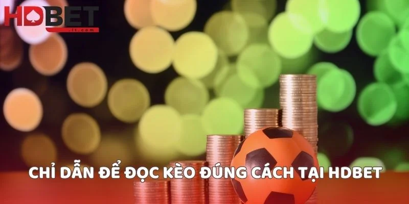 Chỉ dẫn để đọc kèo đúng cách tại HDBET