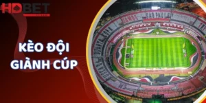 Kèo đội giành cúp