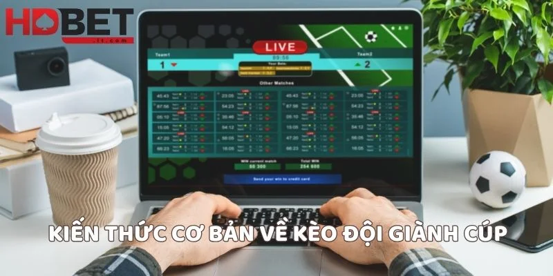 Kiến thức cơ bản về kèo đội giành cúp